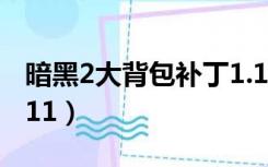 暗黑2大背包补丁1.13c（暗黑2大背包补丁1 11）