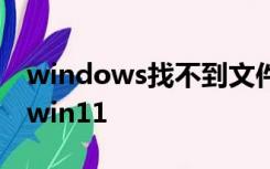 windows找不到文件请确定文件名是否正确win11