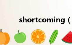 shortcoming（shortcomings）