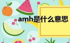 amh是什么意思（ah是什么意思）