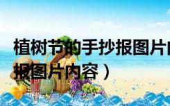 植树节的手抄报图片内容大全（植树节的手抄报图片内容）