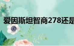 爱因斯坦智商278还是160（爱因斯坦智商）