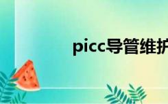 picc导管维护（picc导管）