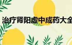 治疗肾阳虚中成药大全（治疗肾阳虚中成药）