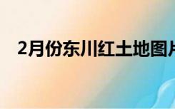 2月份东川红土地图片（东川红土地简介）