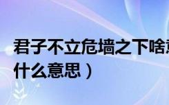 君子不立危墙之下啥意思（君子不立危墙之下什么意思）