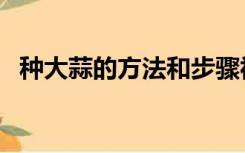 种大蒜的方法和步骤视频（种大蒜的方法）