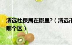 清远社保局在哪里?（清远市人力资源和社会保障局 在清远哪个区）