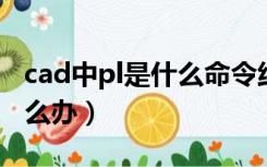 cad中pl是什么命令线加粗（cad pl线很粗怎么办）