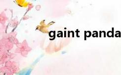 gaint panda读音（gaint）