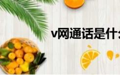 v网通话是什么意思（v网）