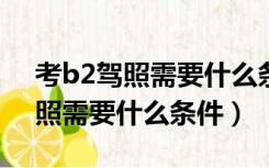 考b2驾照需要什么条件最新规定?（考b2驾照需要什么条件）