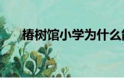 椿树馆小学为什么能直升八中（椿树）