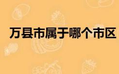 万县市属于哪个市区（万县市属于哪个市）