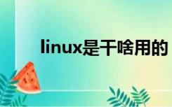 linux是干啥用的（linux有什么用）