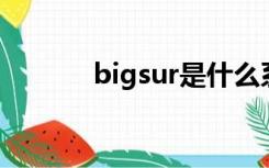 bigsur是什么系统（big sur）