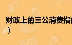 财政上的三公消费指的是（三公消费是指什么）