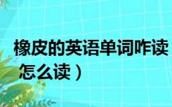 橡皮的英语单词咋读（橡皮的英语单词是什么 怎么读）