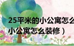 25平米的小公寓怎么装修成两层（25平米的小公寓怎么装修）