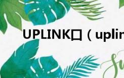 UPLINK口（uplink端口是什么意思）