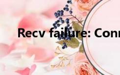 Recv failure: Connection was reset