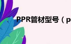 PPR管材型号（pp r管材管件型号）