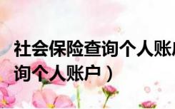 社会保险查询个人账户缴费明细（社会保险查询个人账户）