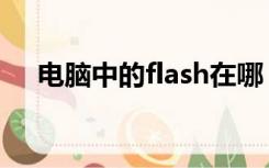 电脑中的flash在哪（flash在电脑哪里）