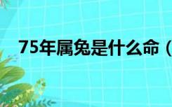 75年属兔是什么命（76年属龙是什么命）