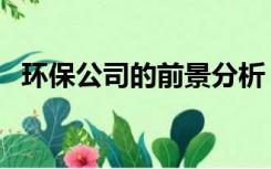 环保公司的前景分析（环保行业前景分析）