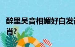 醉里吴音相媚好白发谁家翁媪的意思是什么生肖?