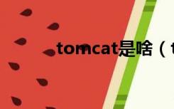 tomcat是啥（tomcat是什么）