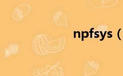 npfsys（npf sys）