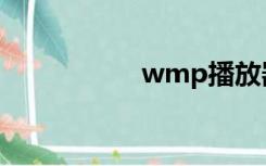 wmp播放器（wmp）