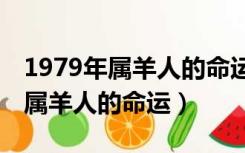 1979年属羊人的命运6日28日出日（1979年属羊人的命运）