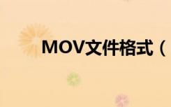 MOV文件格式（mov是什么格式）