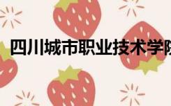 四川城市职业技术学院官网查询录取通知书