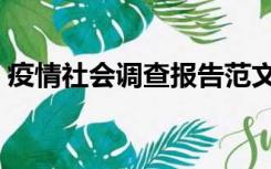 疫情社会调查报告范文（疫情社会调查报告）