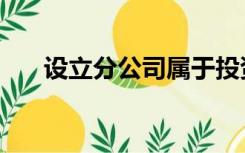 设立分公司属于投资吗（设立分公司）