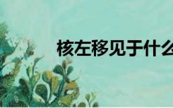 核左移见于什么疾病（核左移）