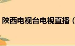 陕西电视台电视直播（陕西台直播在线观看）