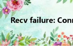 Recv failure: Connection was reset