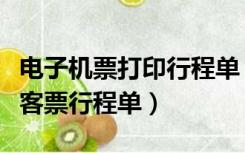 电子机票打印行程单（从哪打印航空运输电子客票行程单）