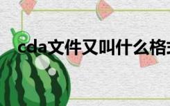 cda文件又叫什么格式（cda是什么文件）