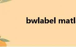 bwlabel matlab（bwlabel）