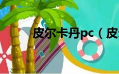 皮尔卡丹pc（皮尔卡丹平板电脑）