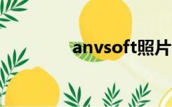 anvsoft照片闪光灯制造商