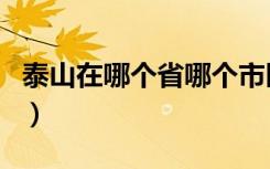 泰山在哪个省哪个市区（泰山在哪个省哪个市）