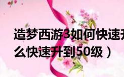 造梦西游3如何快速升到40级（造梦西游3怎么快速升到50级）