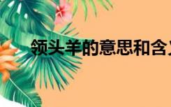 领头羊的意思和含义（领头羊的意思）